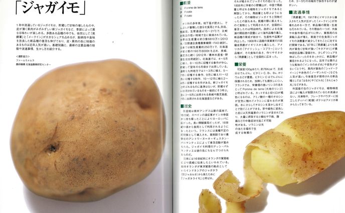 【取材&執筆】食材知識ページ連載｜「シェフ」