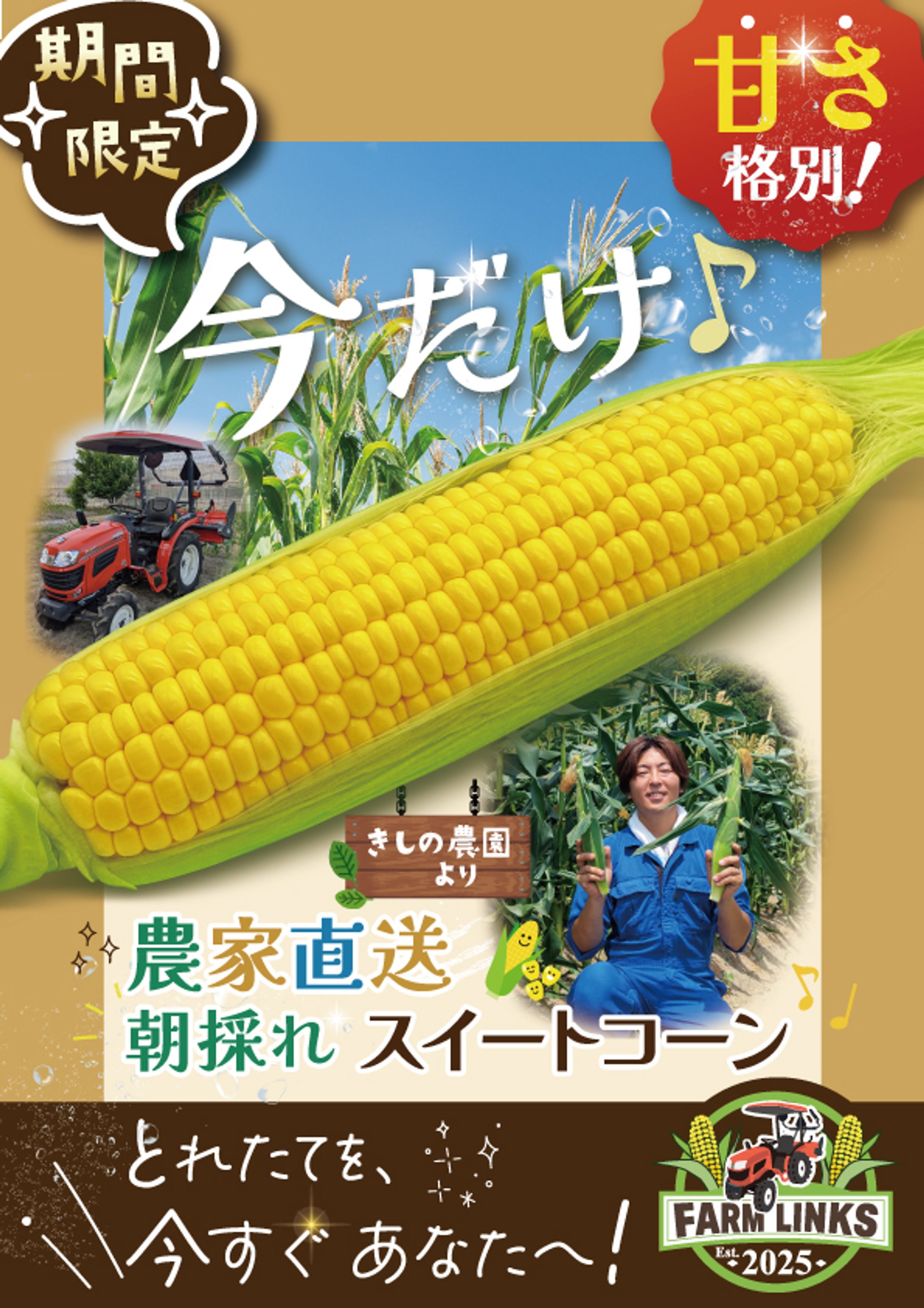 トウモロコシ農家様POP-1