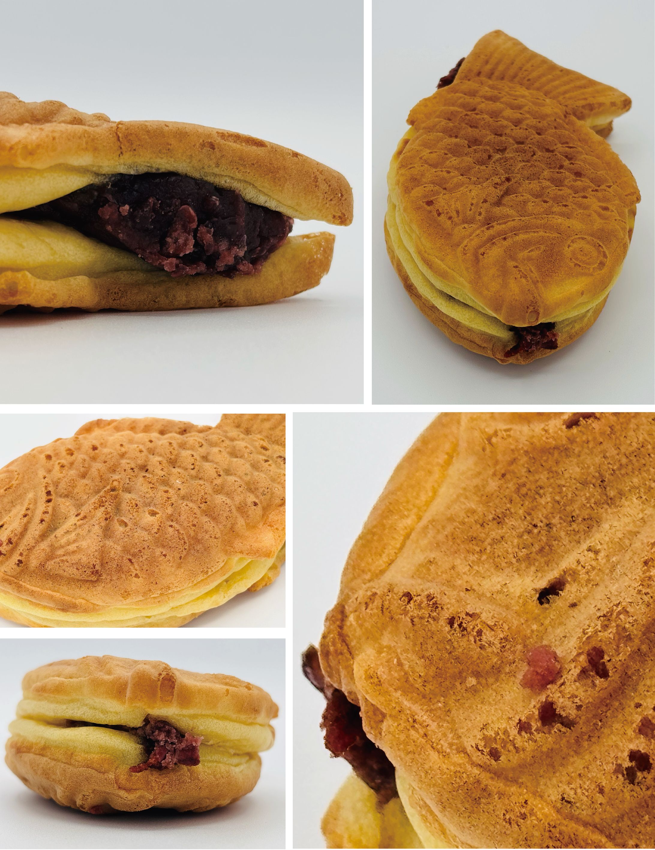 ビジュアル・カタログ-1