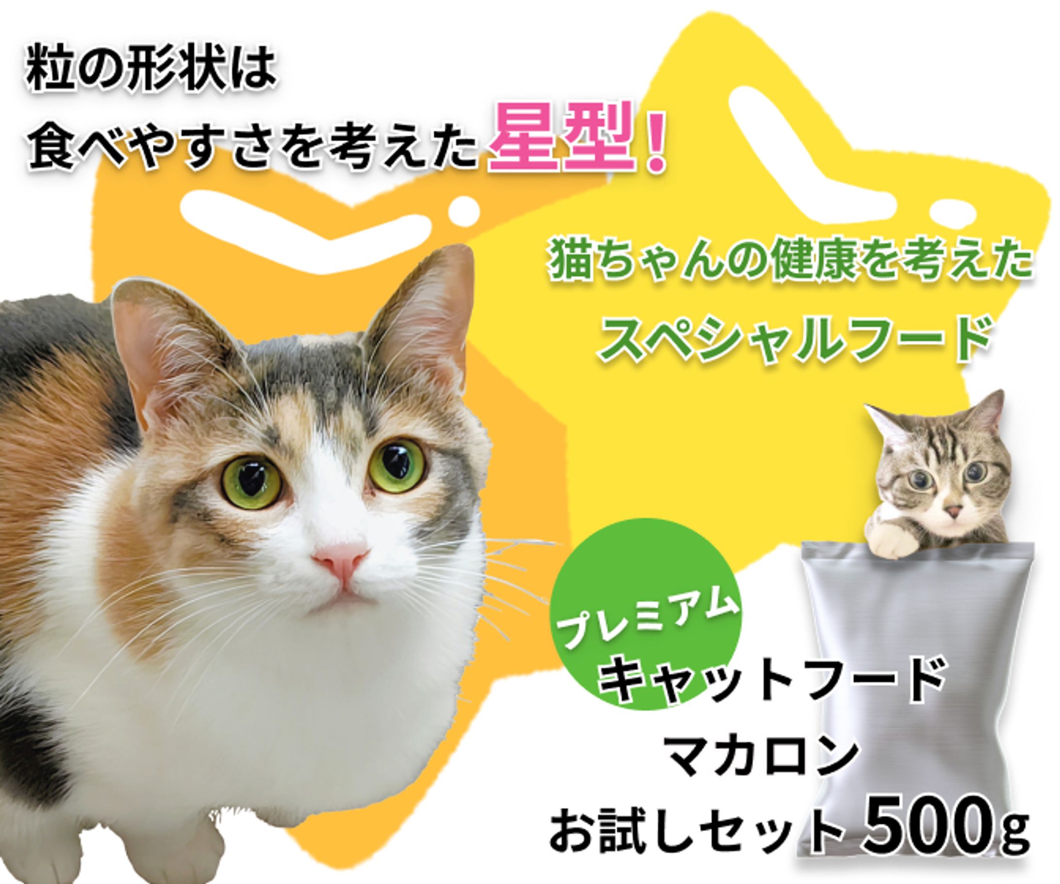 キャットフード系バナー-1