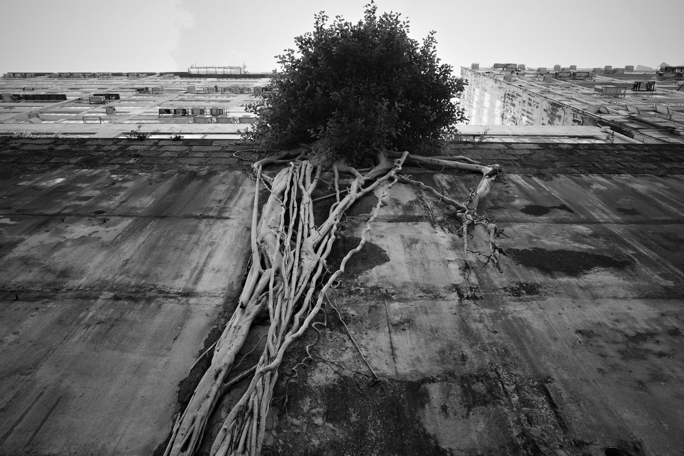 construction-1