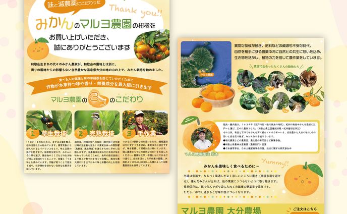 【実績】みかん農園様同梱チラシ