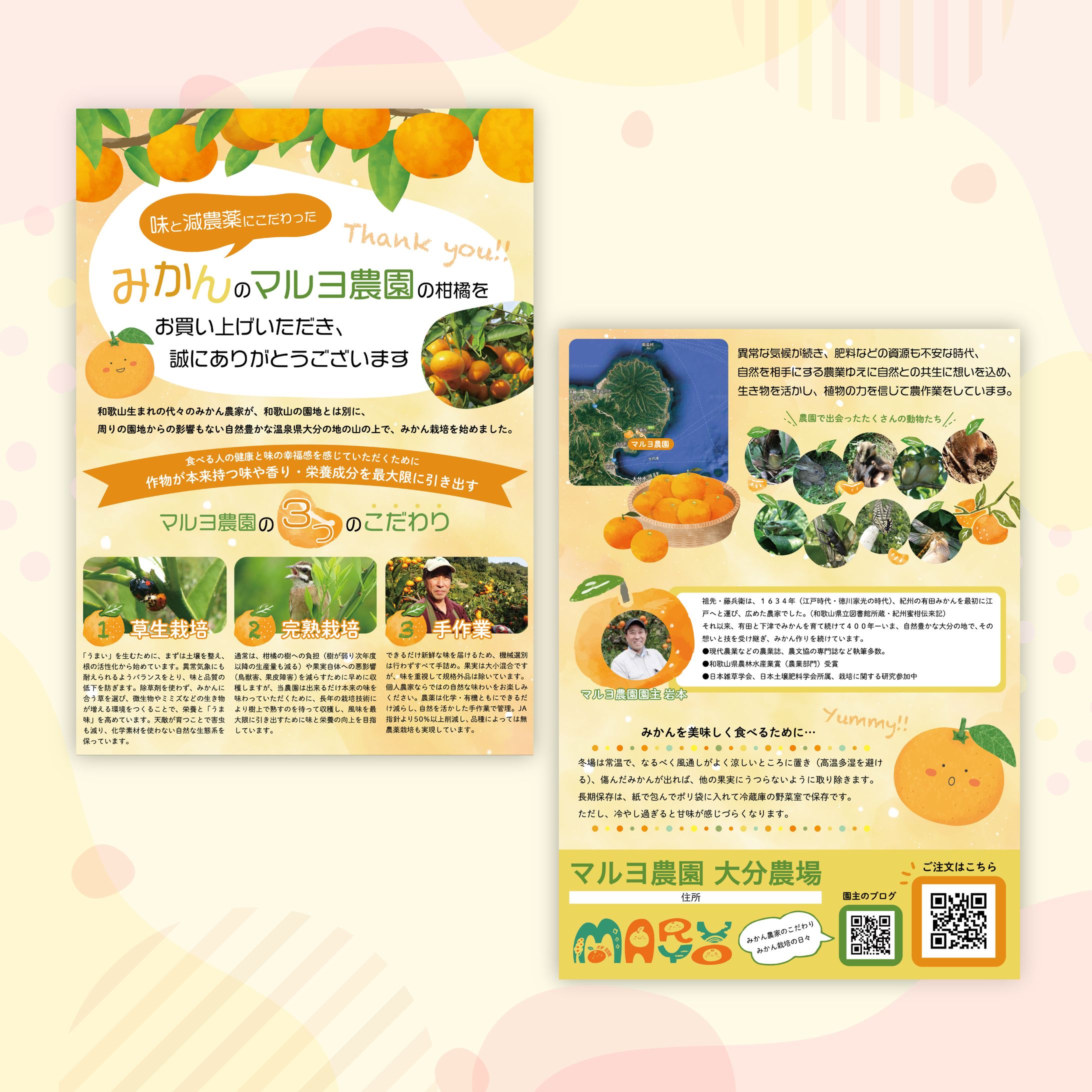 【実績】みかん農園様同梱チラシ-1