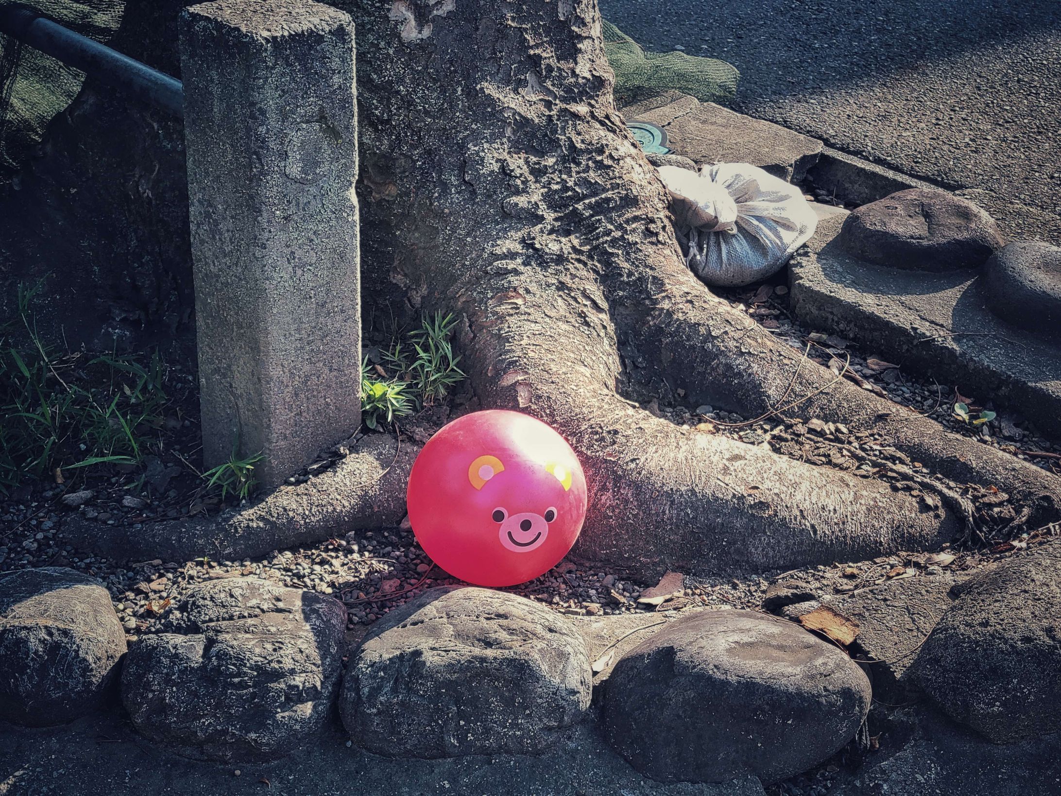 かくれんぼの途中-1