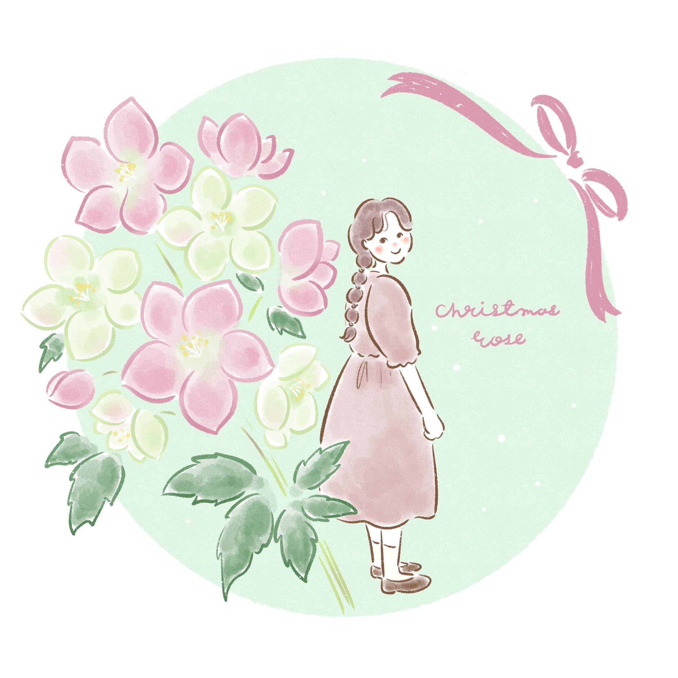 Christmas rose-1