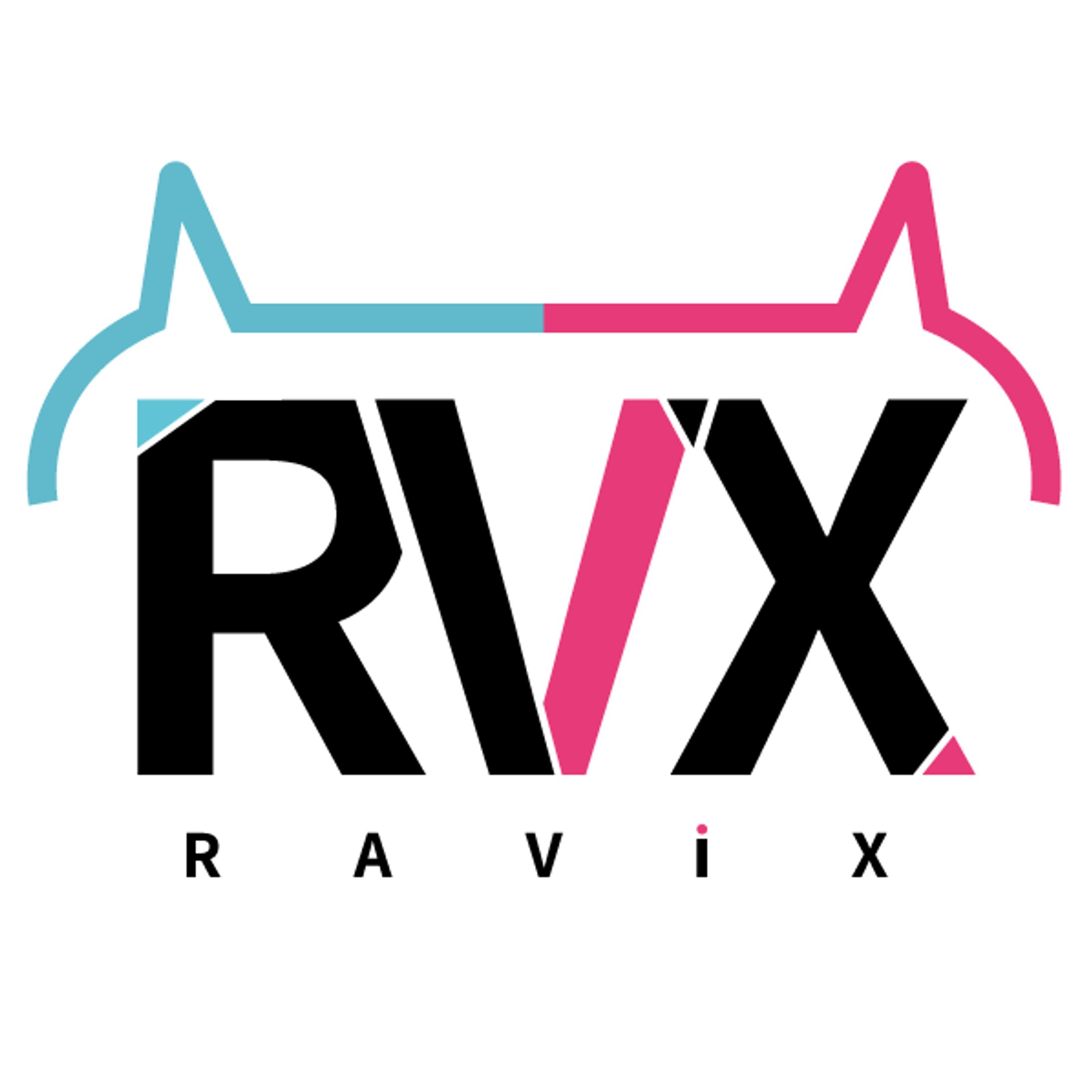 RAViX チームロゴ-1