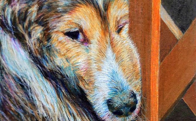 お絵かき、color pencil