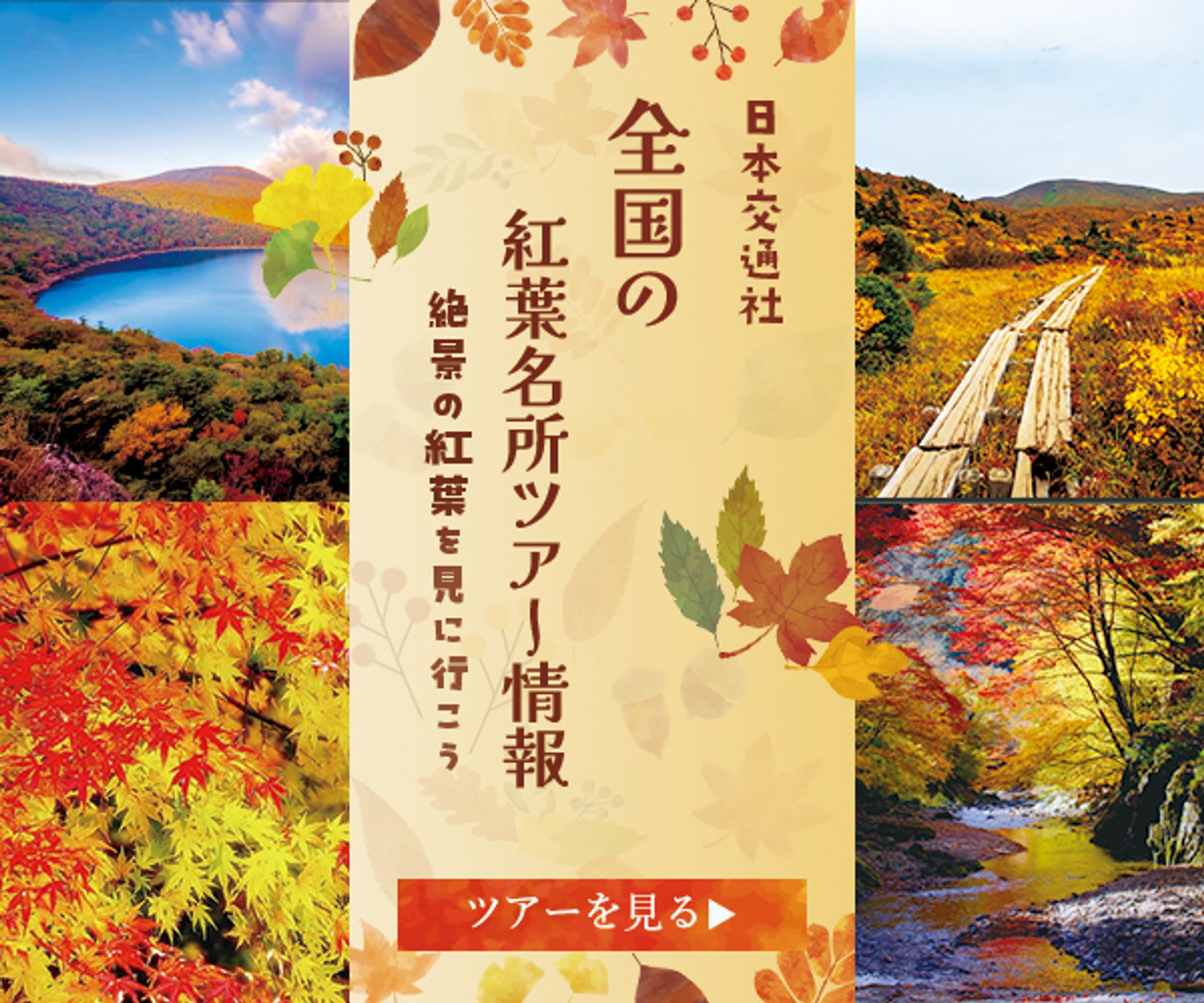 紅葉ツアー バナー-1