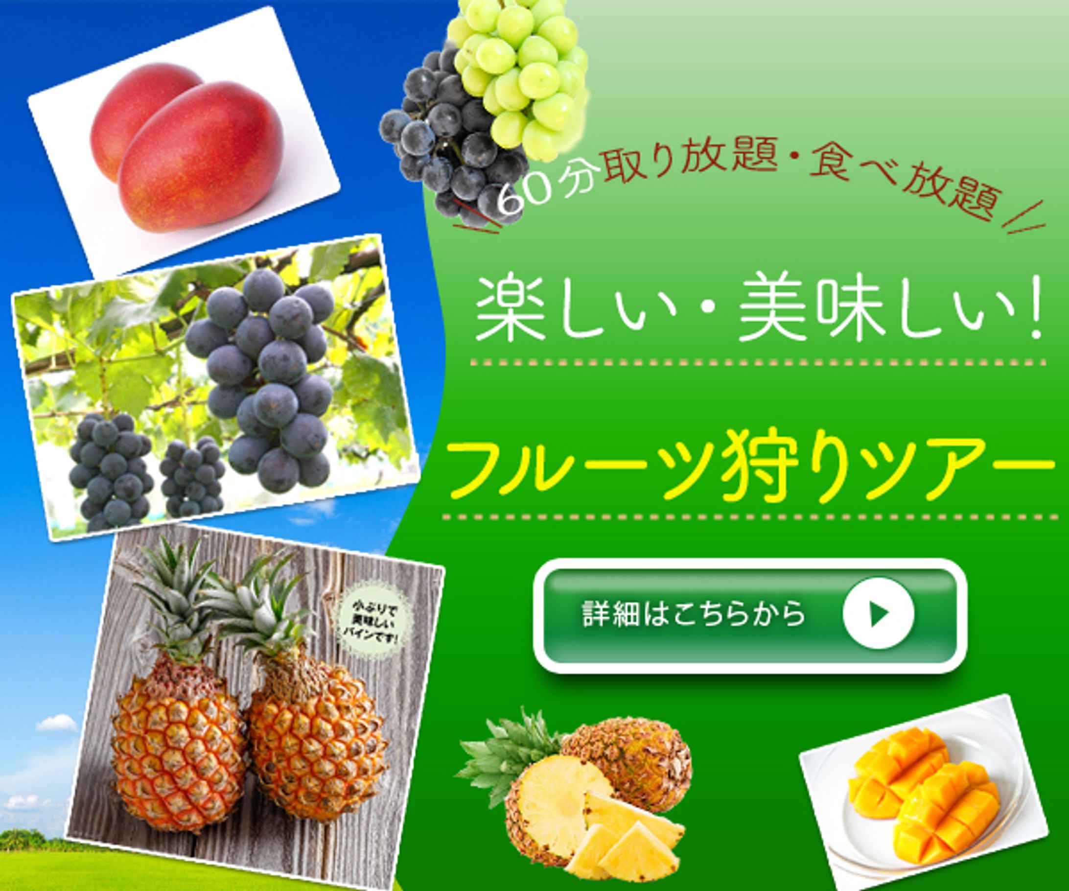 フルーツ狩りをがテーマのバナー-1