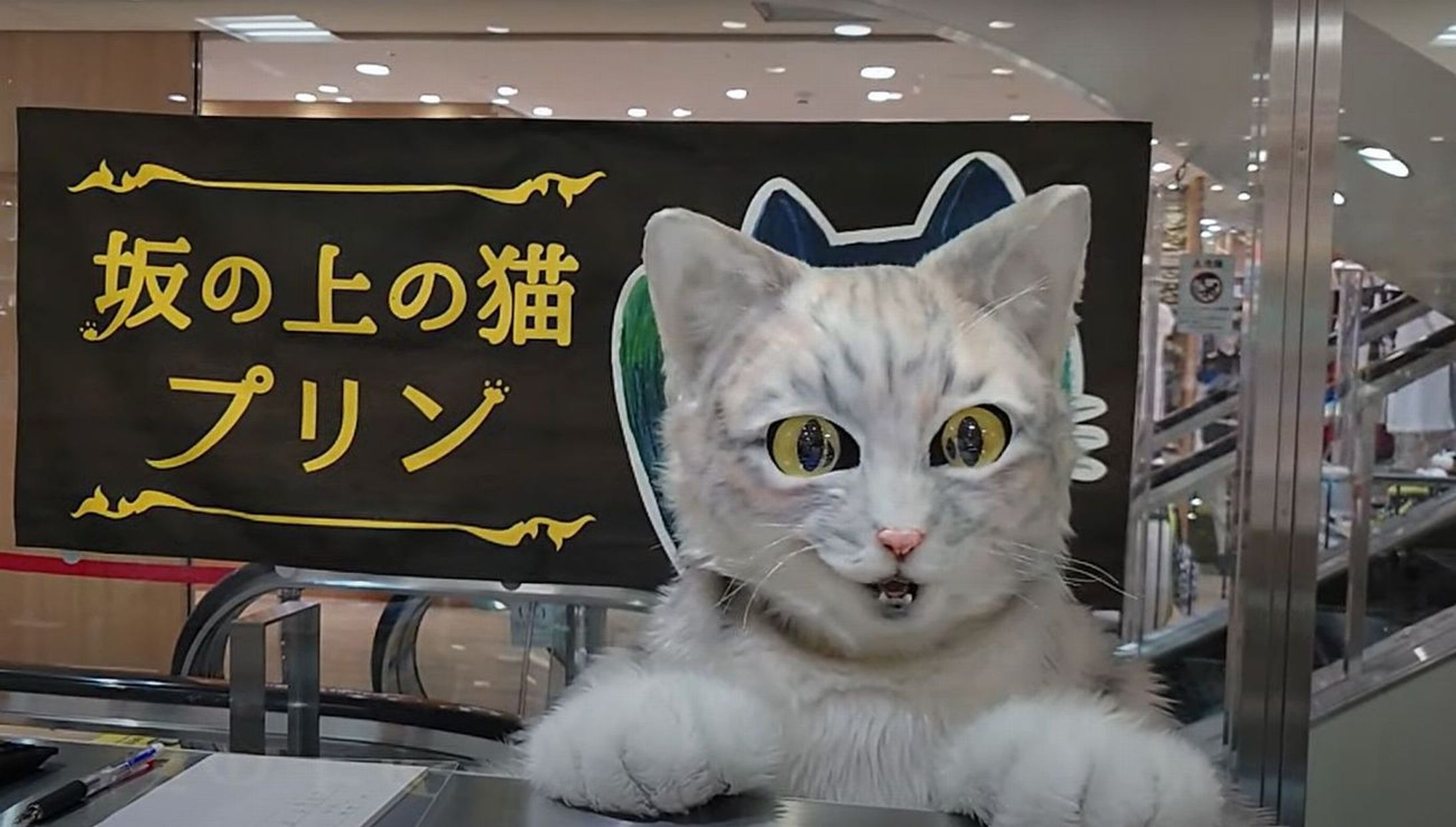 ショーケースの向こうにいるのは…人間と同じ大きさの猫！？　「アルバイト猫」が接客するプリン専門店が話題　ただいま全国巡回中-1