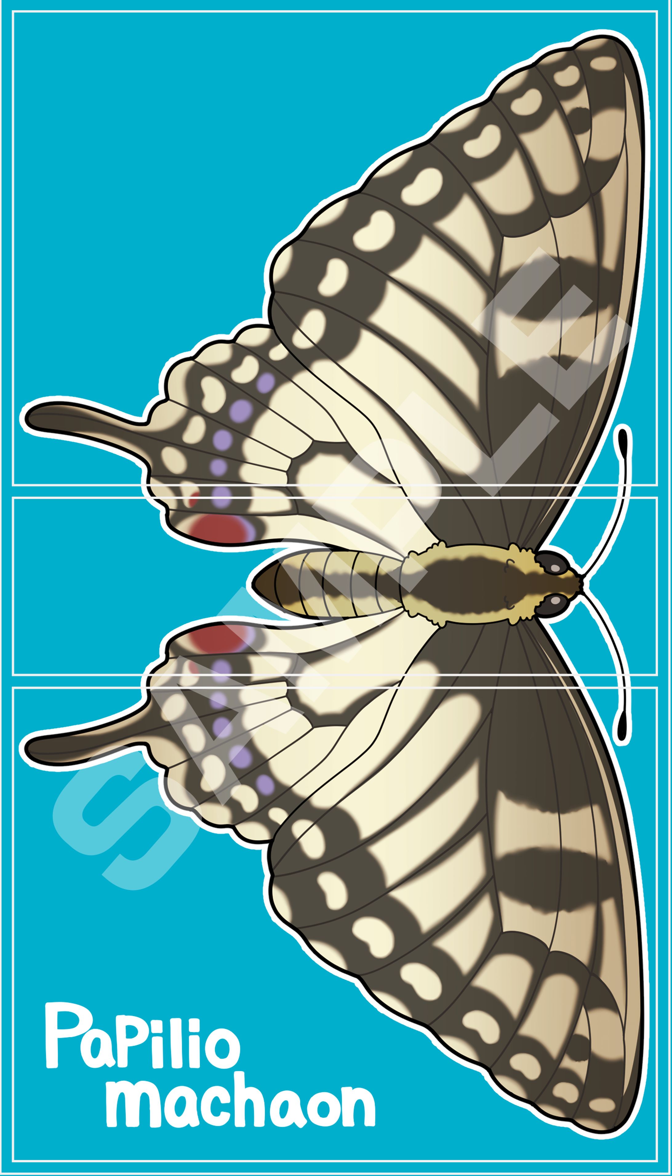 キアゲハ他/ＴＣＧデッキケース-1