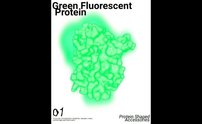 Green Fluorescent Protein