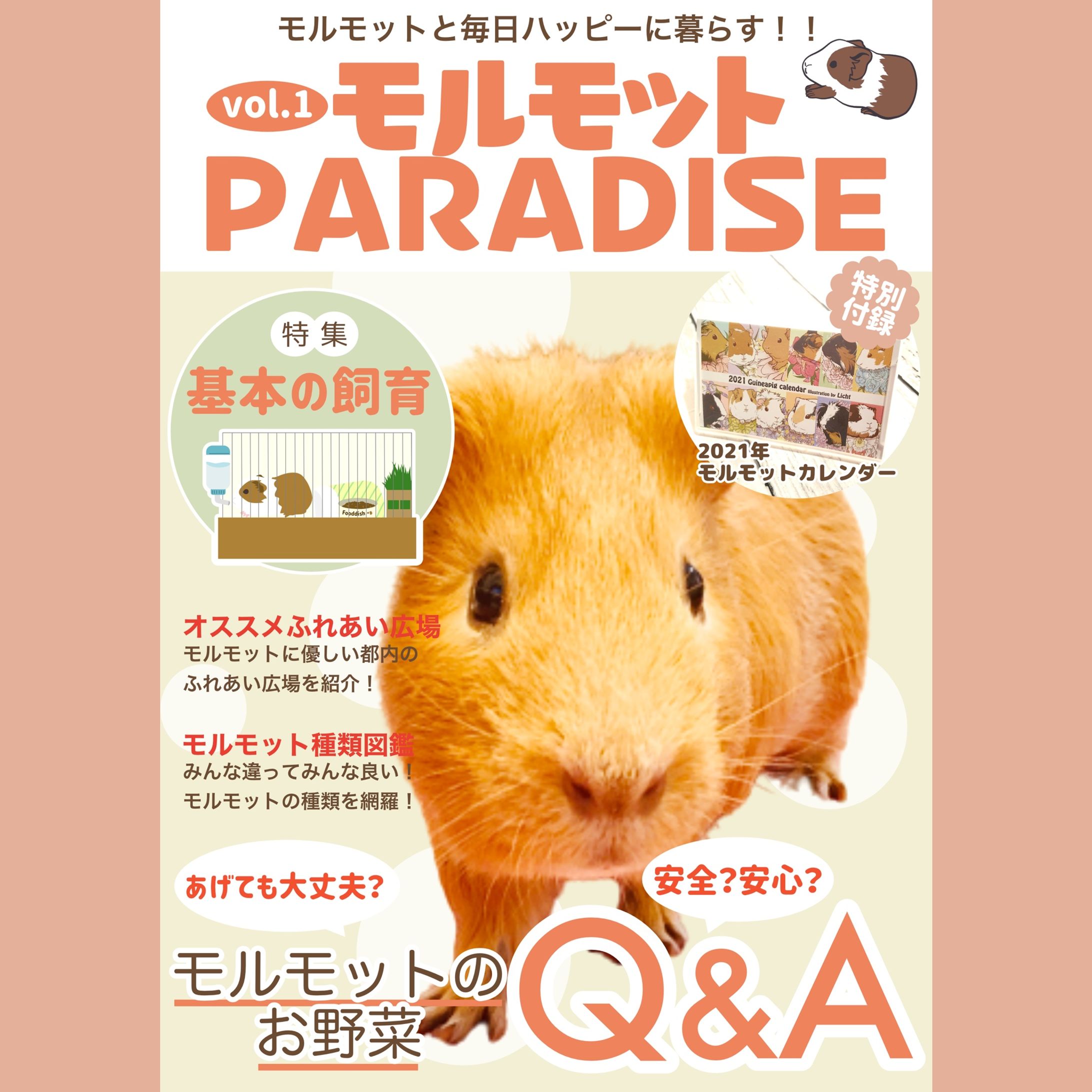 モルモット雑誌:イメージ画像-1