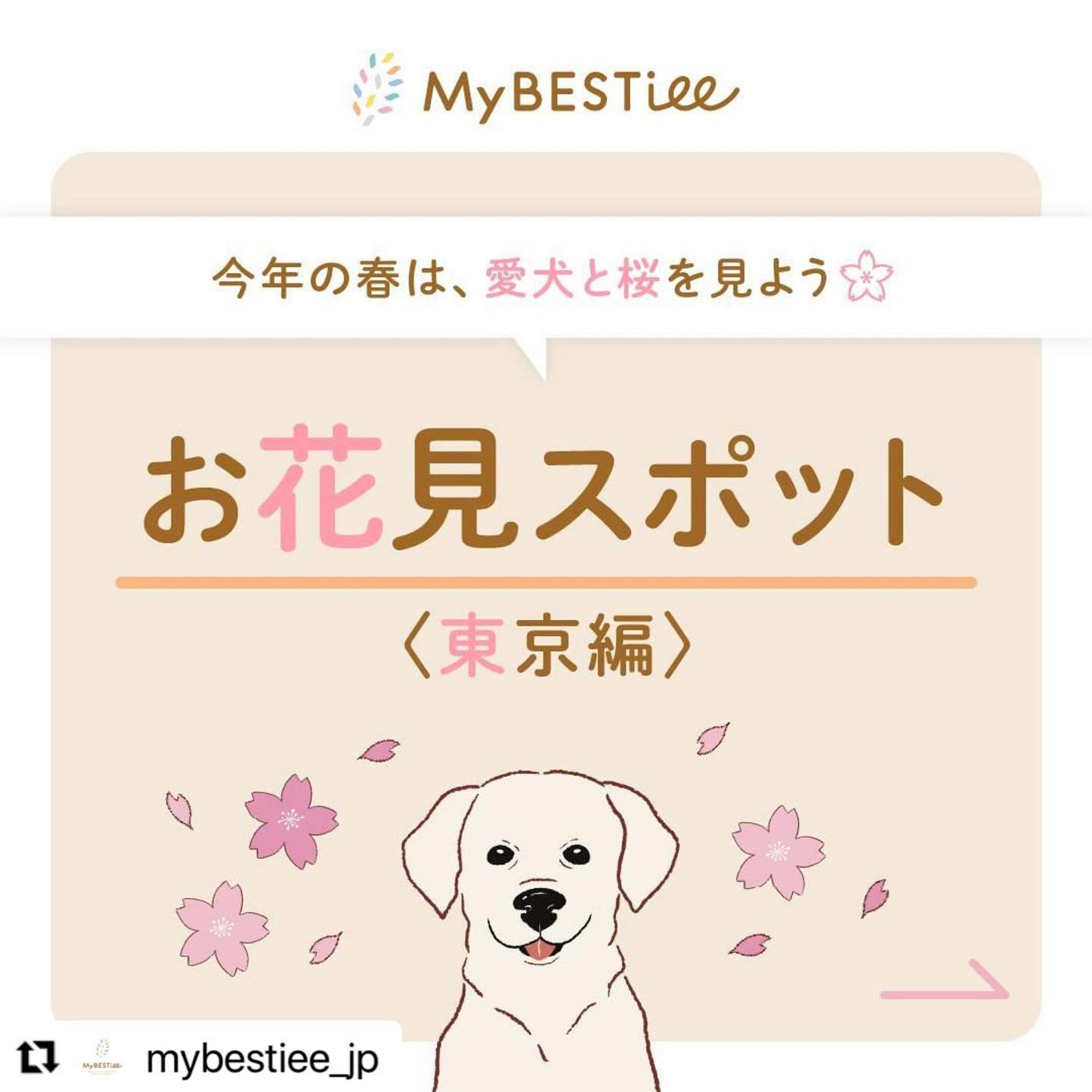 MyBESTiee instagram イラスト-1