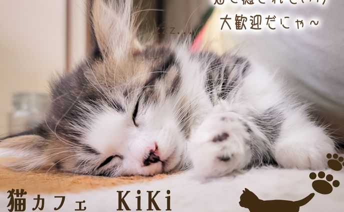 架空猫カフェのバナー