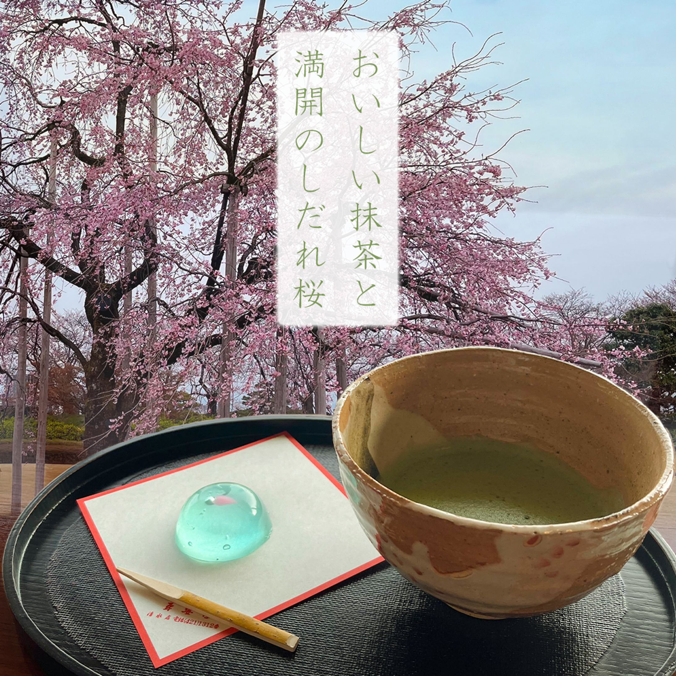 【架空】富山県水墨美術館の桜と抹茶　インスタグラム向け画像-1