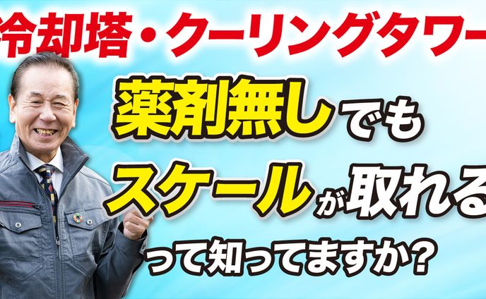 food、you tubeサムネイル