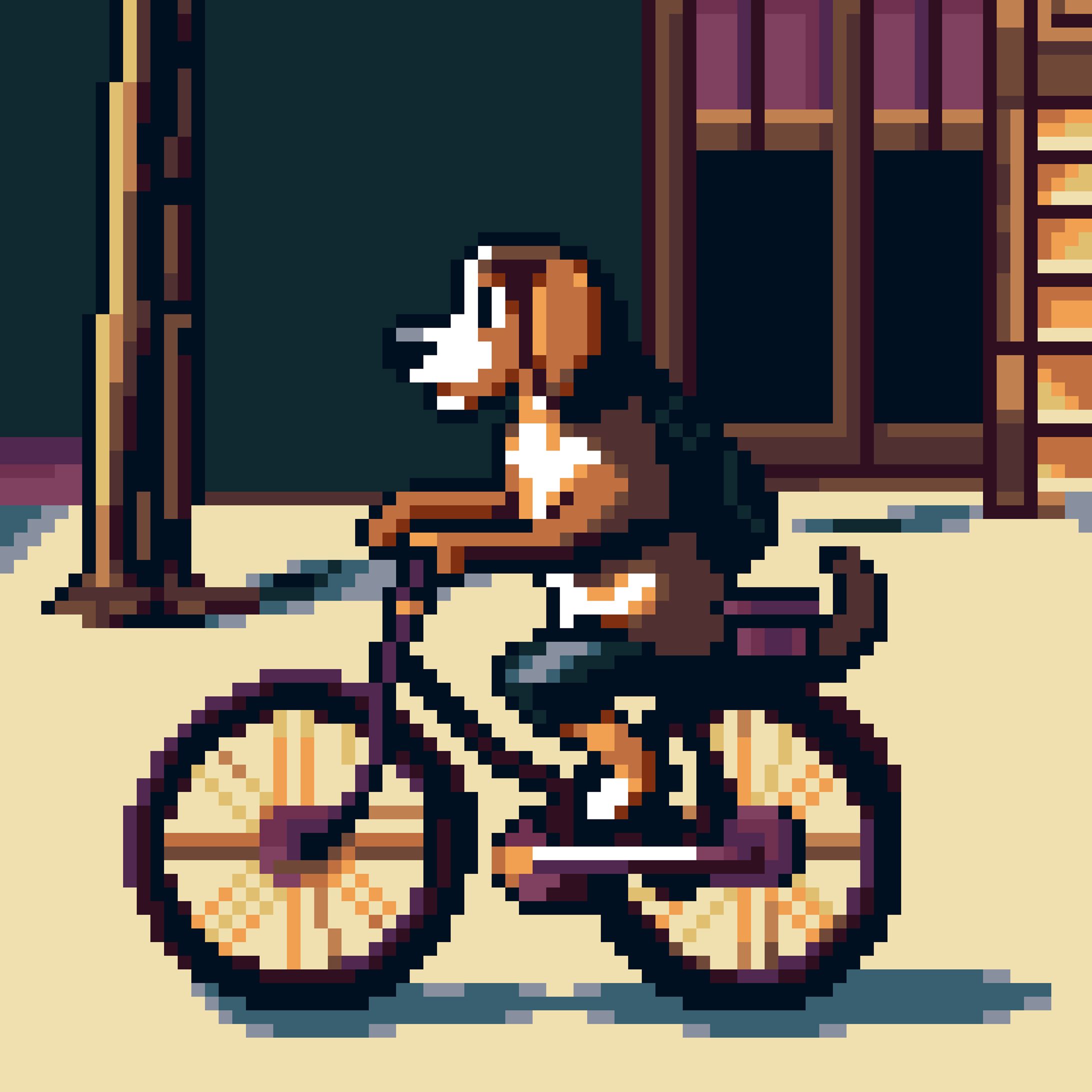 Dog on Bike-1