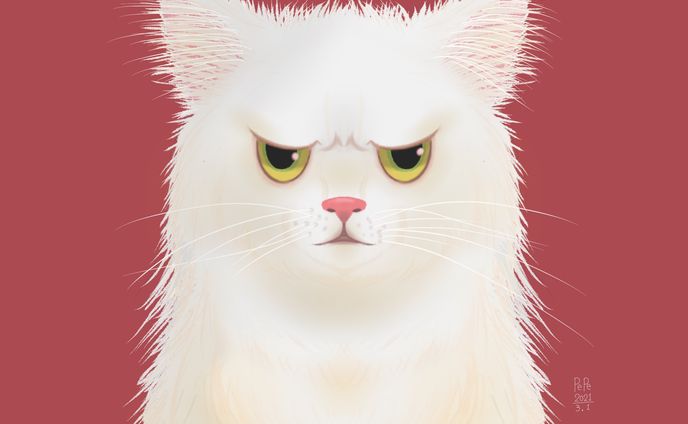ふわふわ猫ちゃん