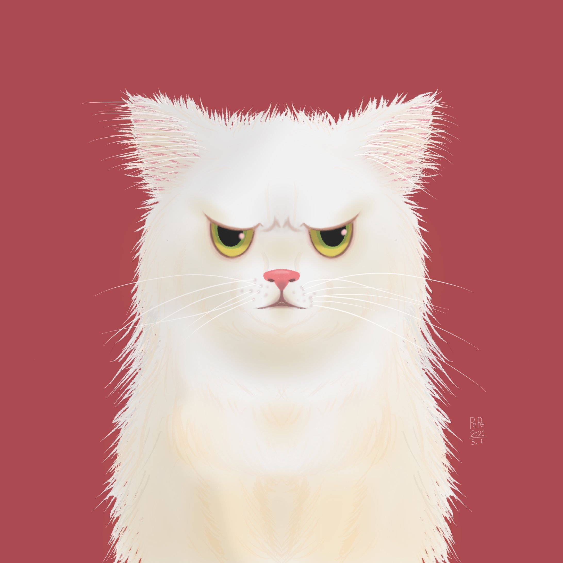 ふわふわ猫ちゃん-1