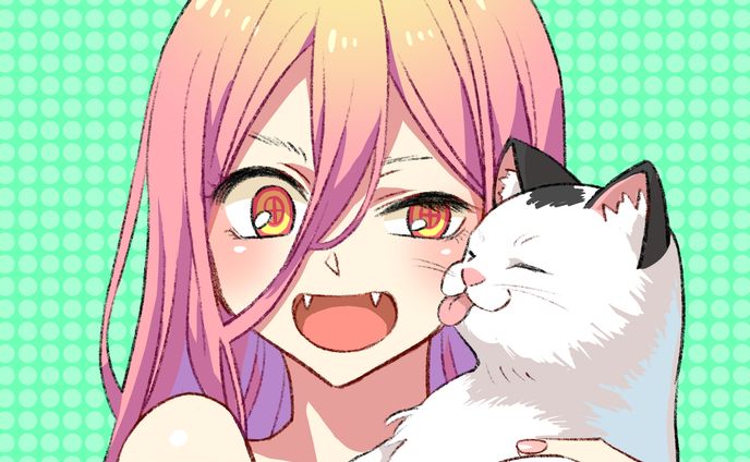 アニメーション、ピンナップ
