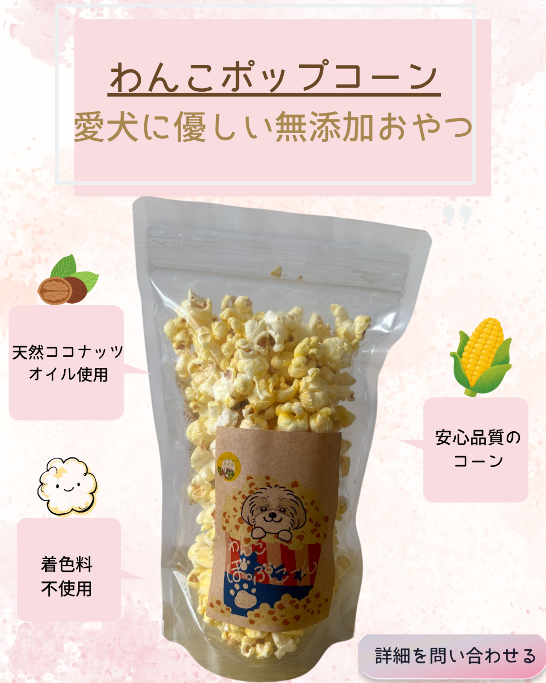 わんこポップコーン -1