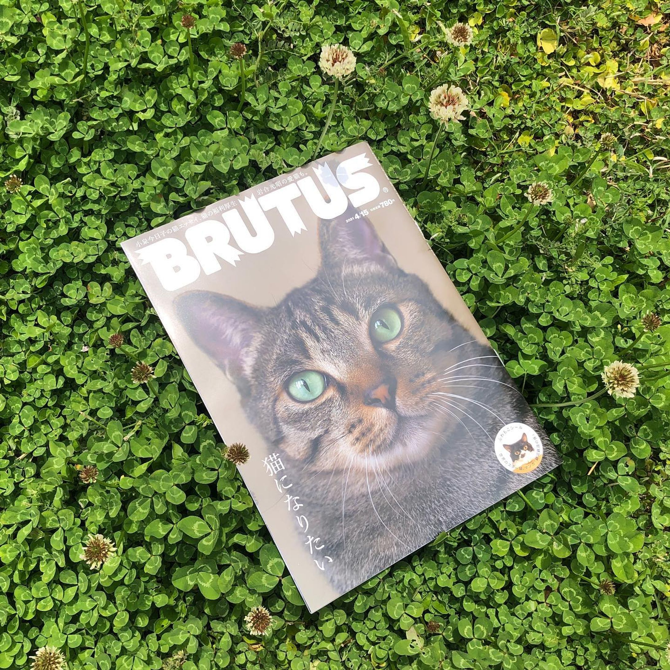 『BRUTUS』猫特集号-1