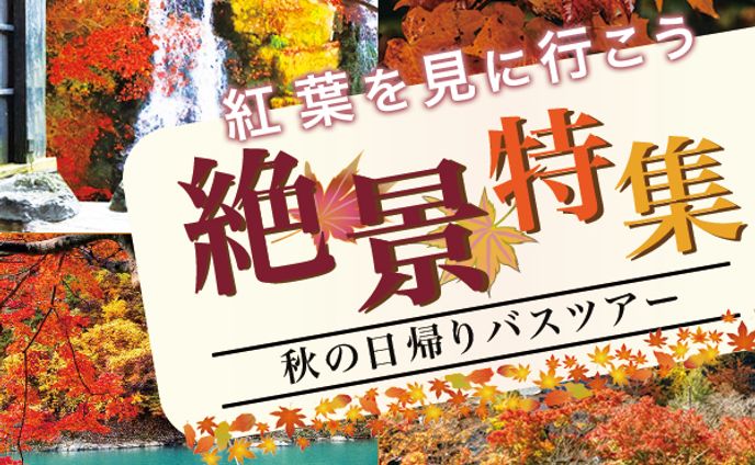 バナー：紅葉ツアー