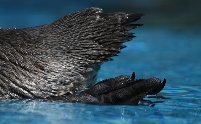 写真（昆虫以外）