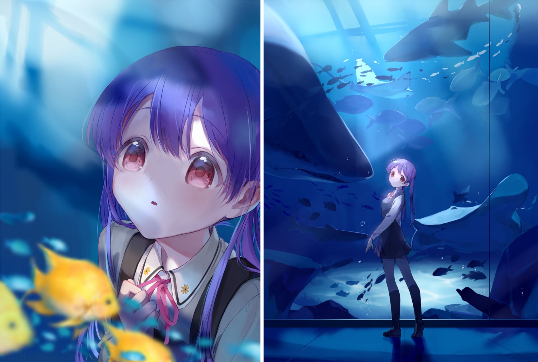 水族館-1