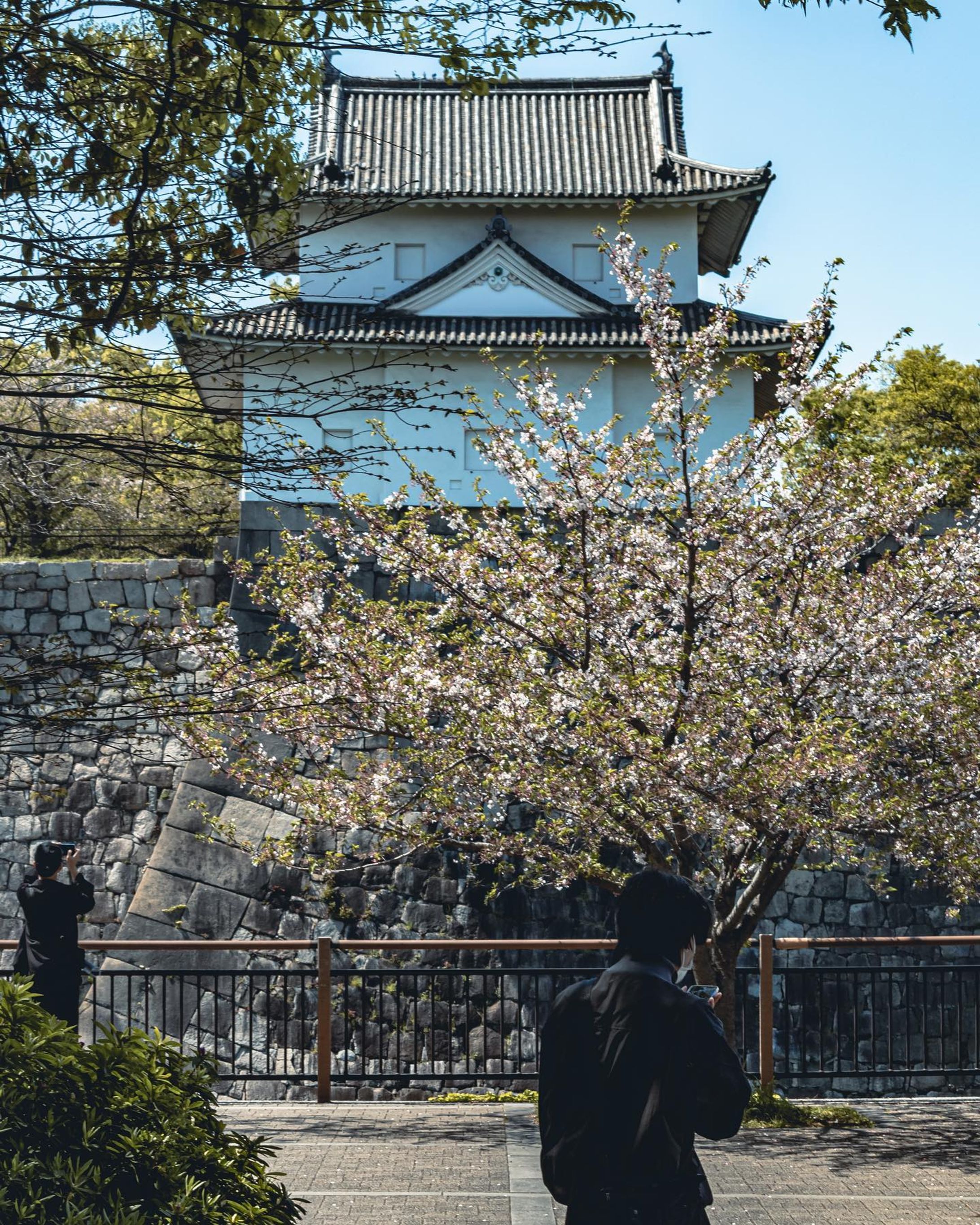 .
🧄
.
.
(at. #大阪城公園 )
.
 #osakacastle  #大阪城
#streetsnap #japan_daytime_view
#streetphotography #streetshootjapan #urbanandstreet #streetclassics #streetactivity #street_photo_daily
#street_incity #streetview #streetleaks #streetlife #streetartjaponism #best_moments_street #japancityblues 
#路地裏 #スナップ写真
#ファインダー越しの私の世界 #写真好きな人と繋がりたい
#大阪 #大阪観光 #osakajapan  #osakatrip-1
