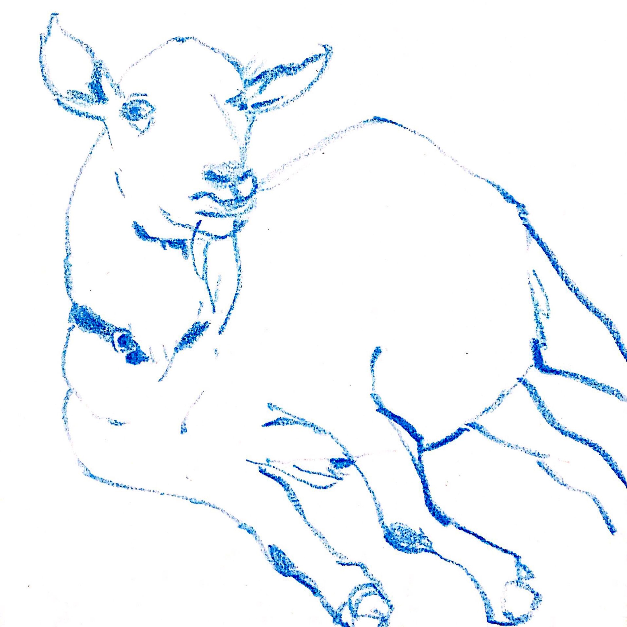 動物シリーズ-1