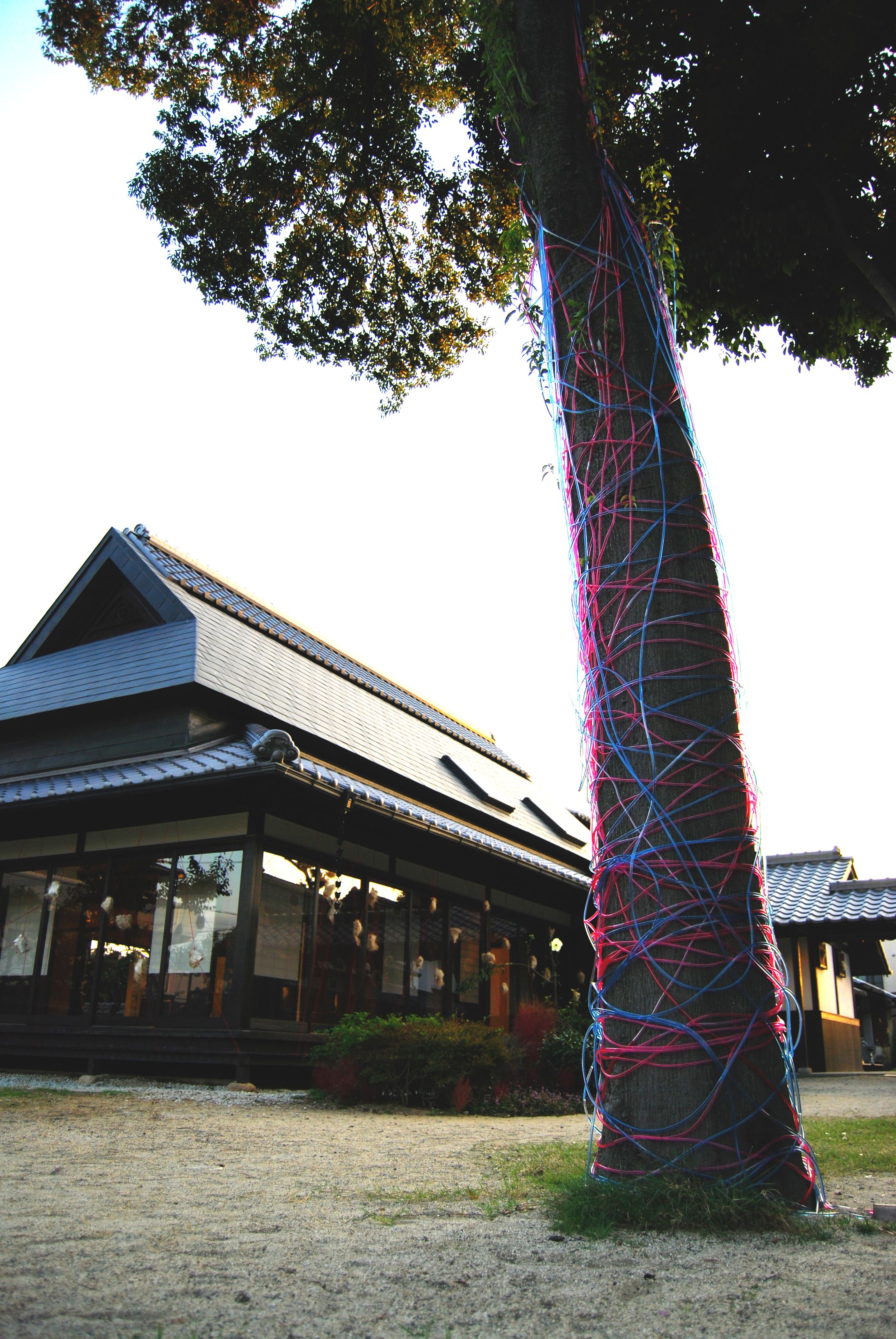 静と動（2007）-1