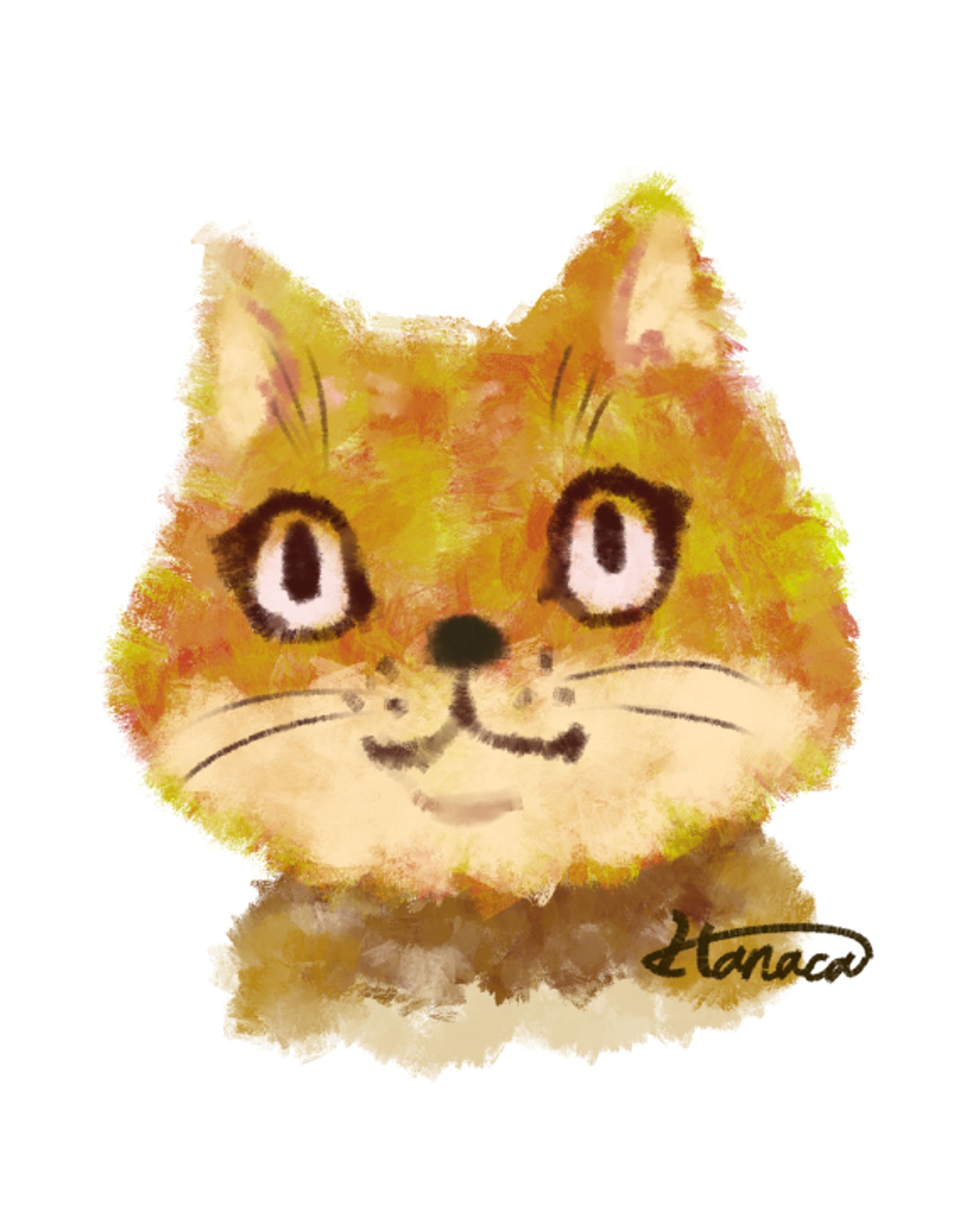 猫ちゃ A cat!!!-1