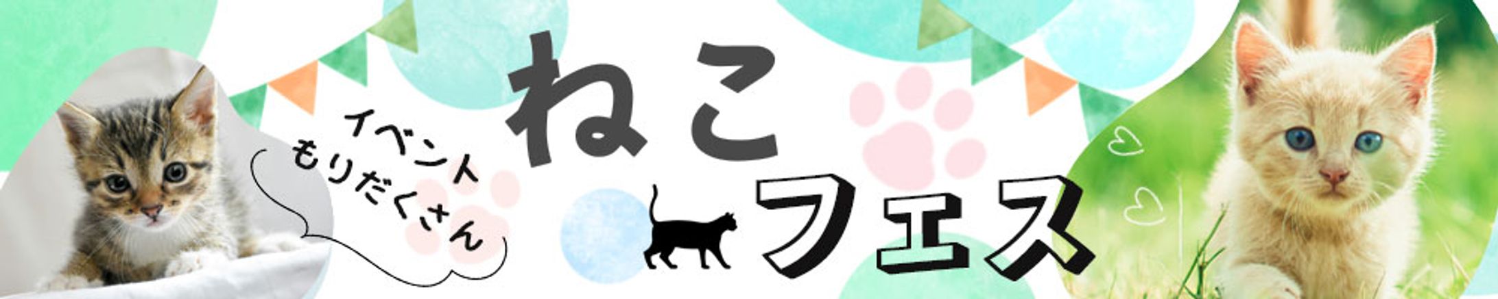横長バナー：イベント（ネコ）-1
