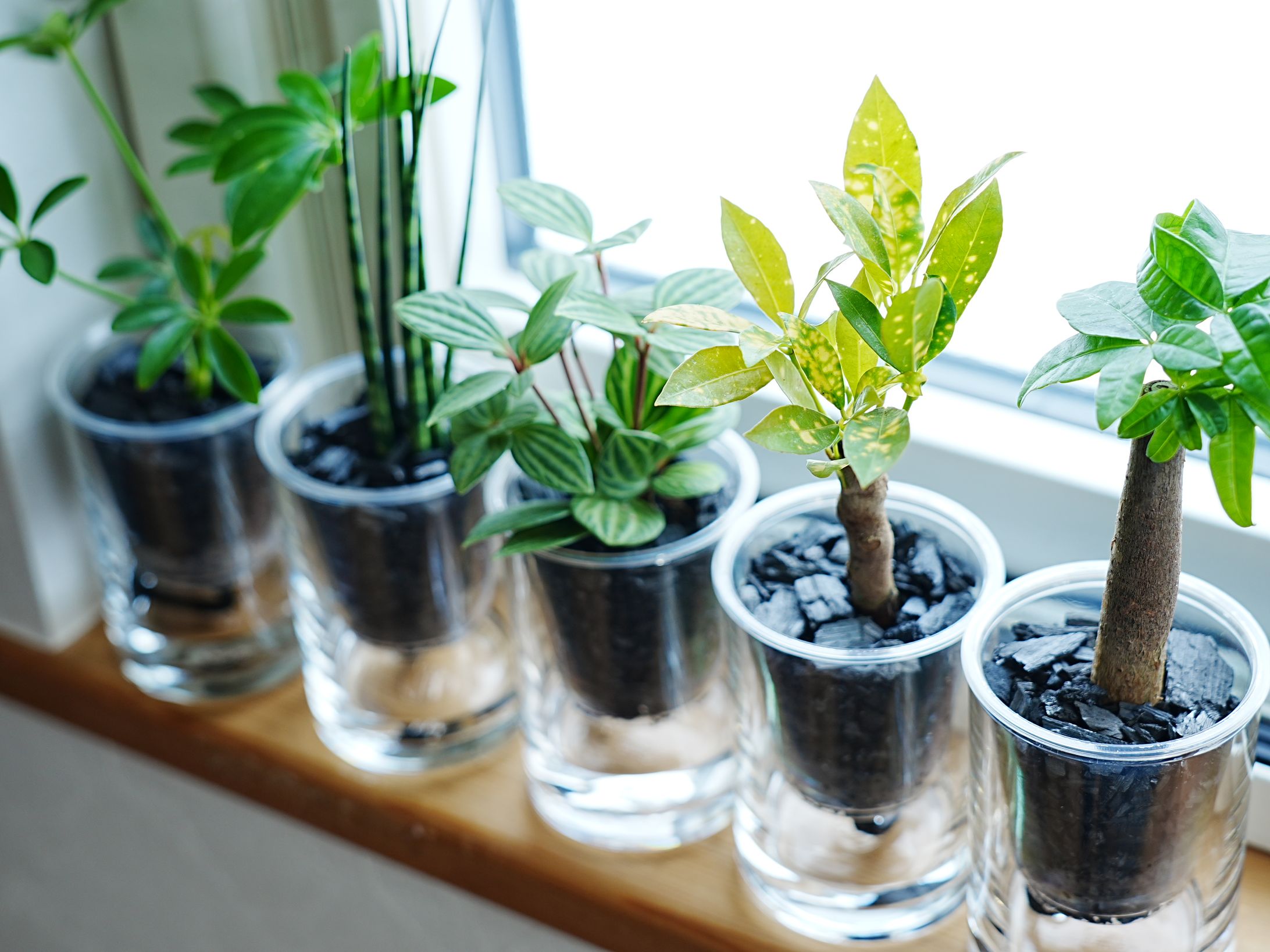 スチール撮影（企業様プレスリリース）-1