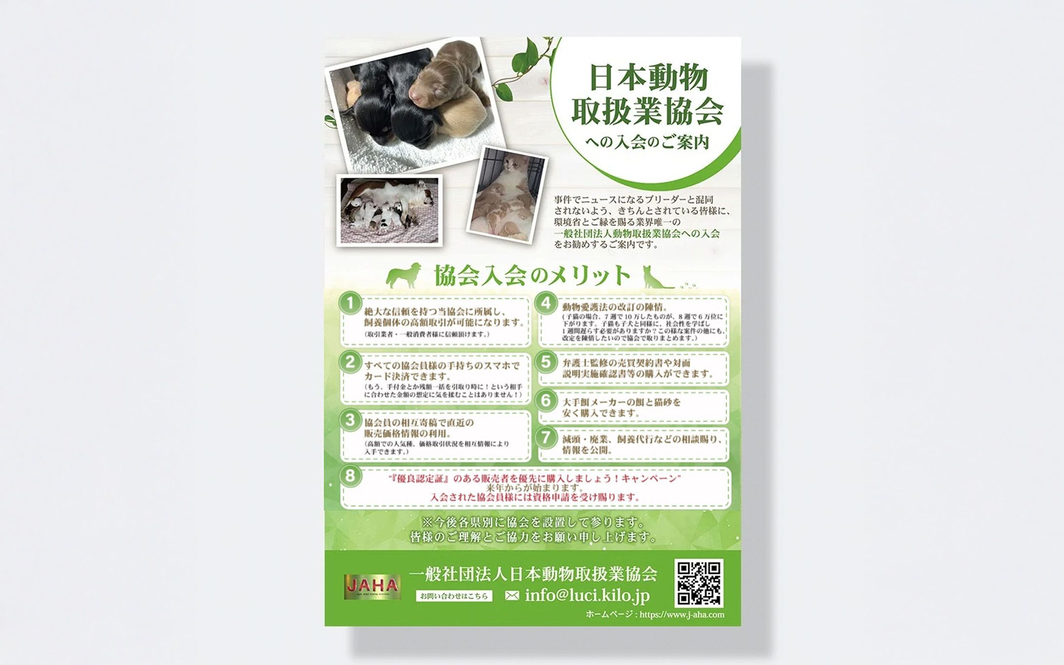 チラシ制作　(一般社団法人日本動物取扱業協会様)-1