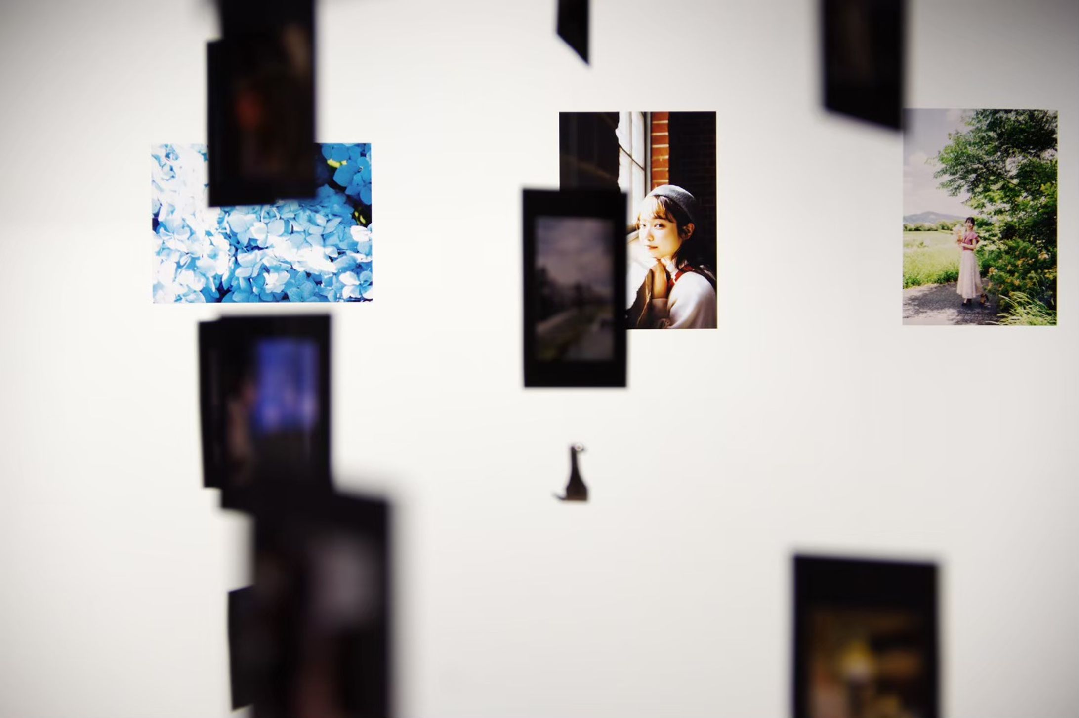 『meguri kyoto 写真展』- 会場展示デザイン-1