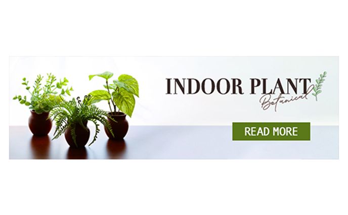 バナー：お部屋の植物