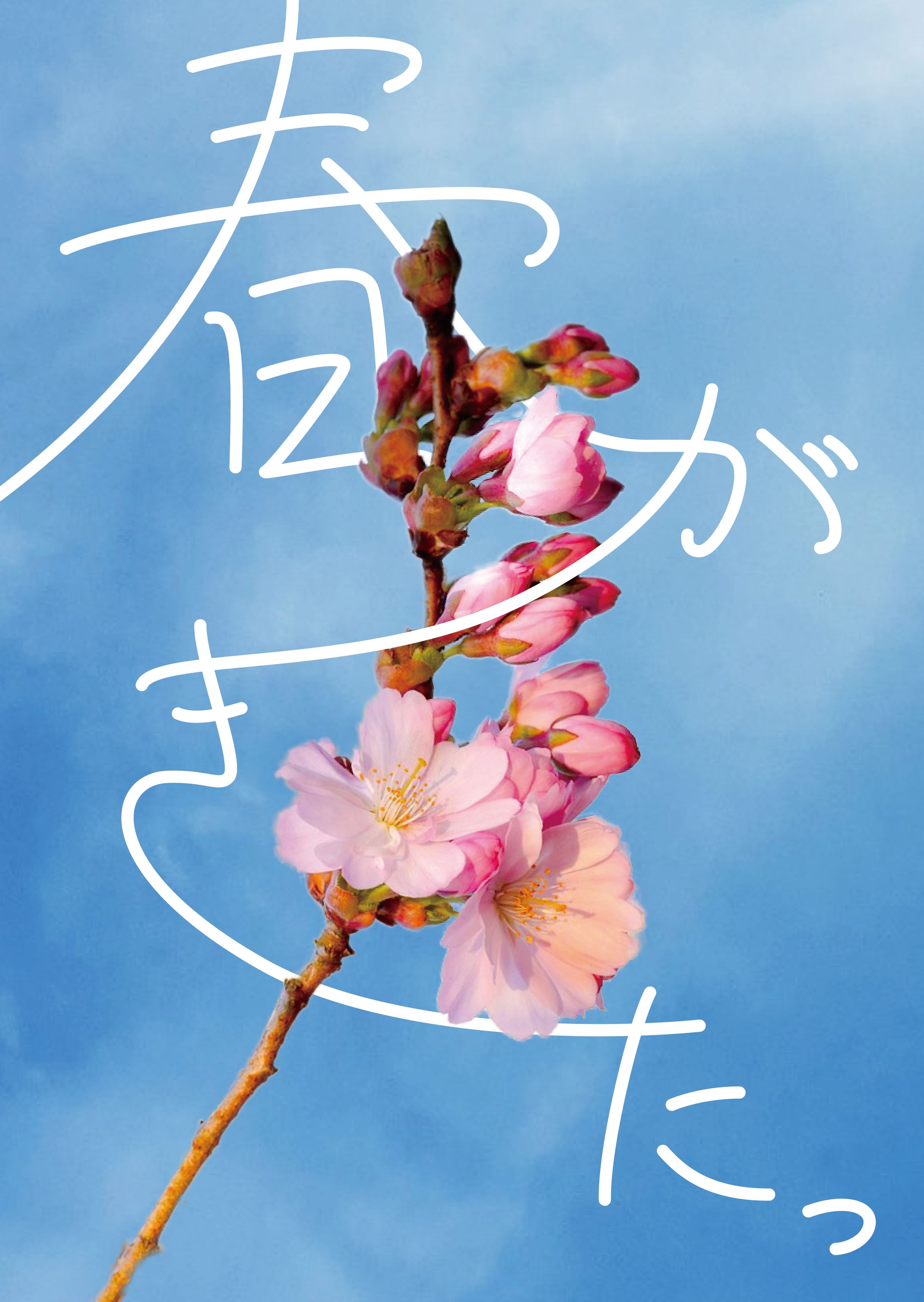 春が来た　2024-1