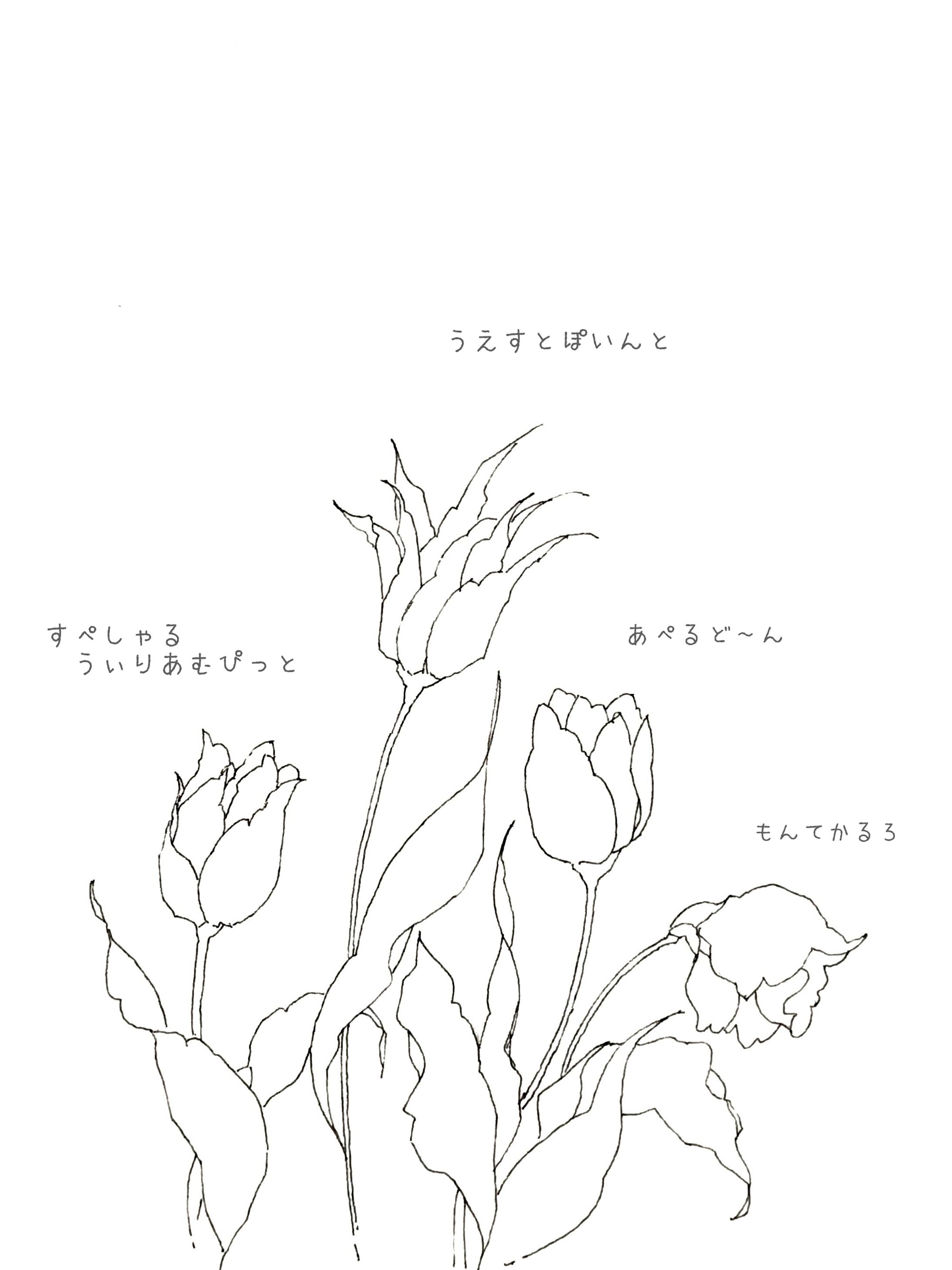 手描きイラスト-1