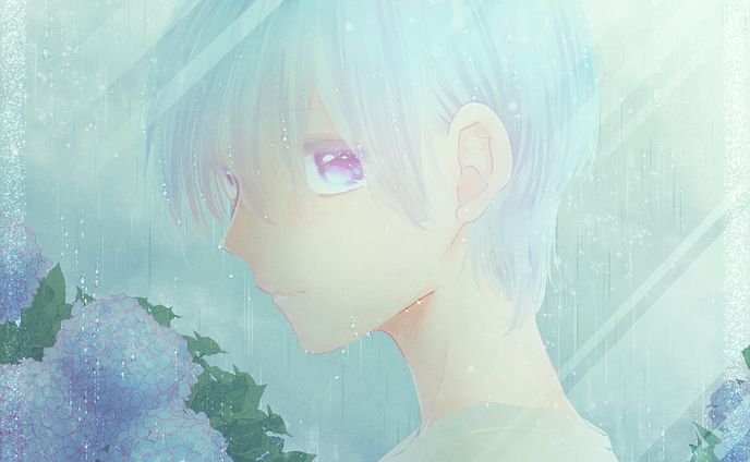 紫陽花