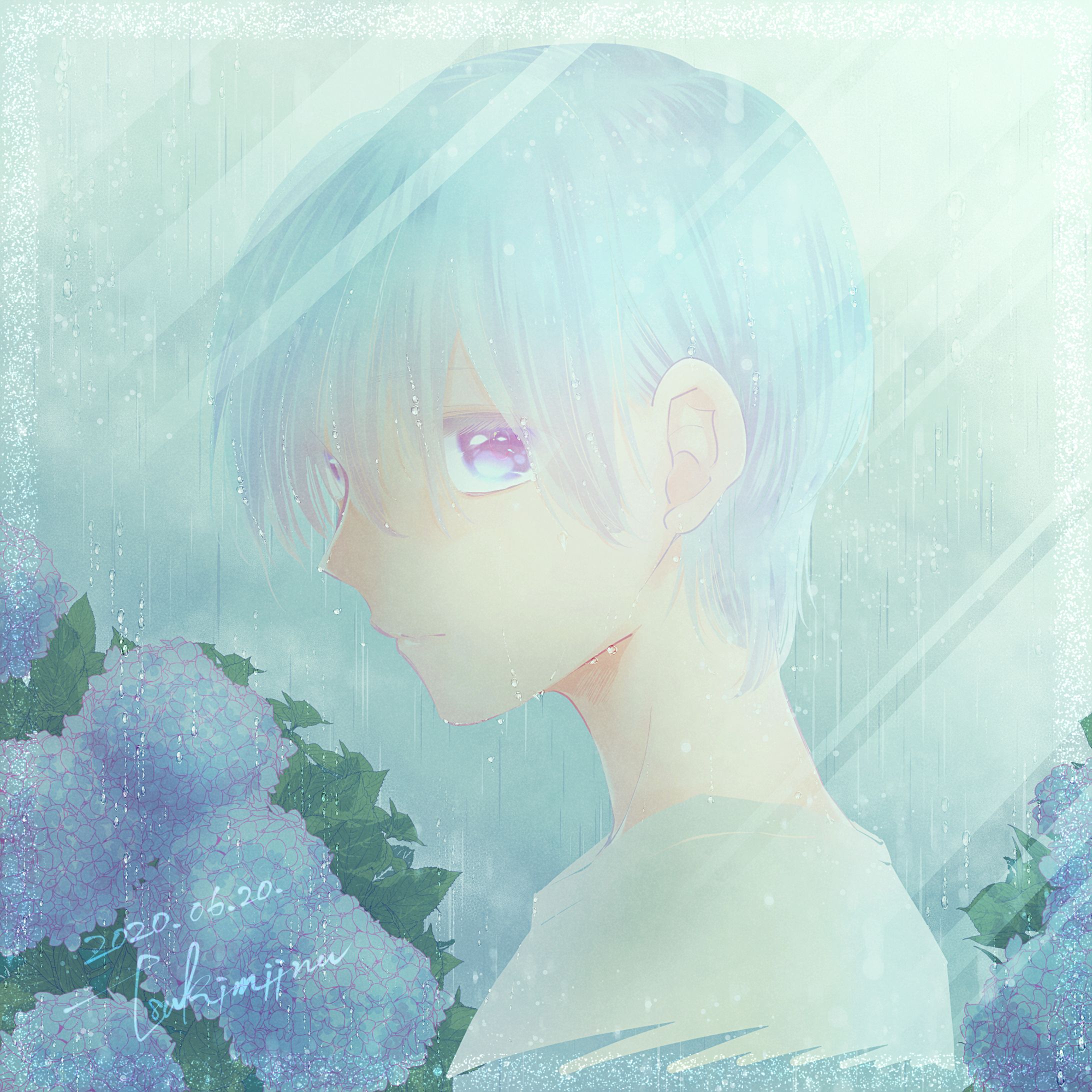 紫陽花-1