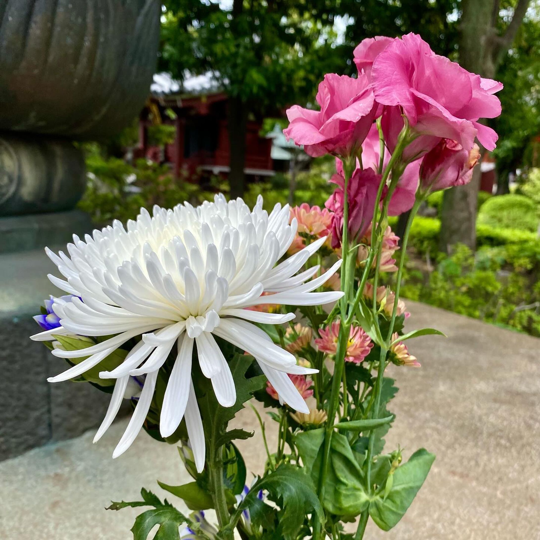 #japan #shotoniphone-1