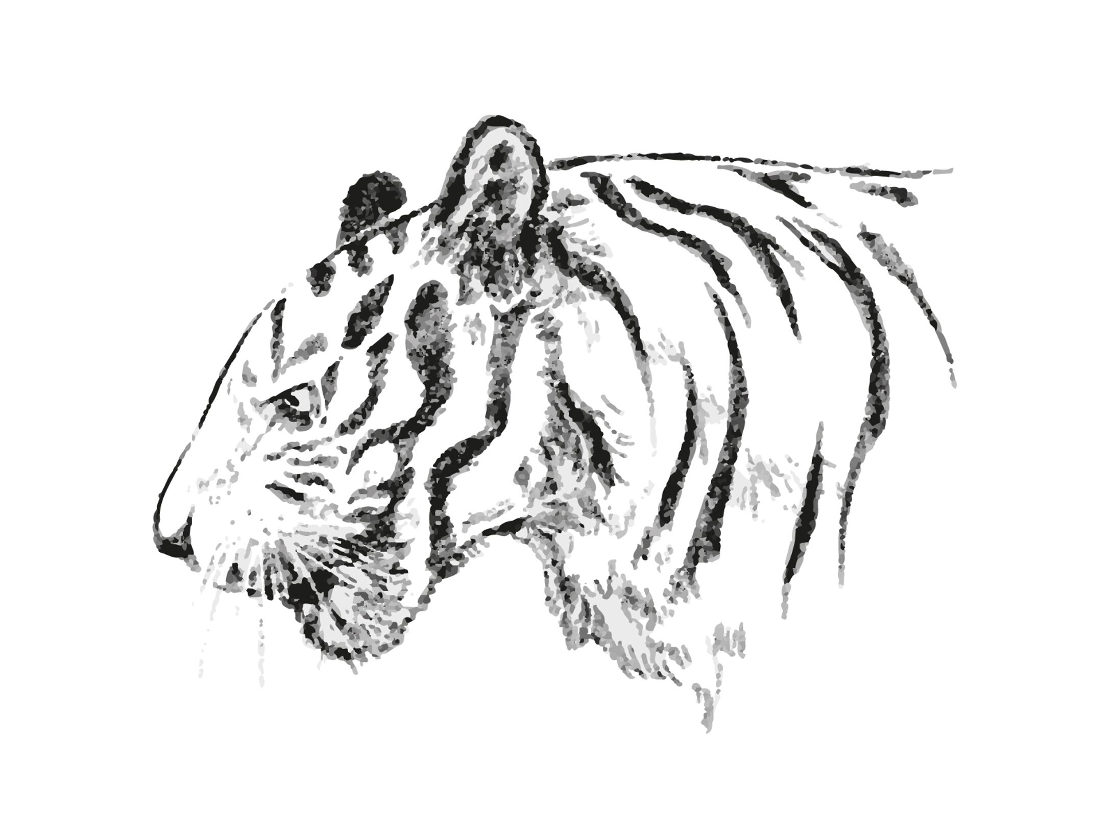 虎のイラスト-1