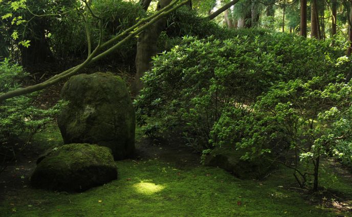 San Francisco Japanese Tea Garden