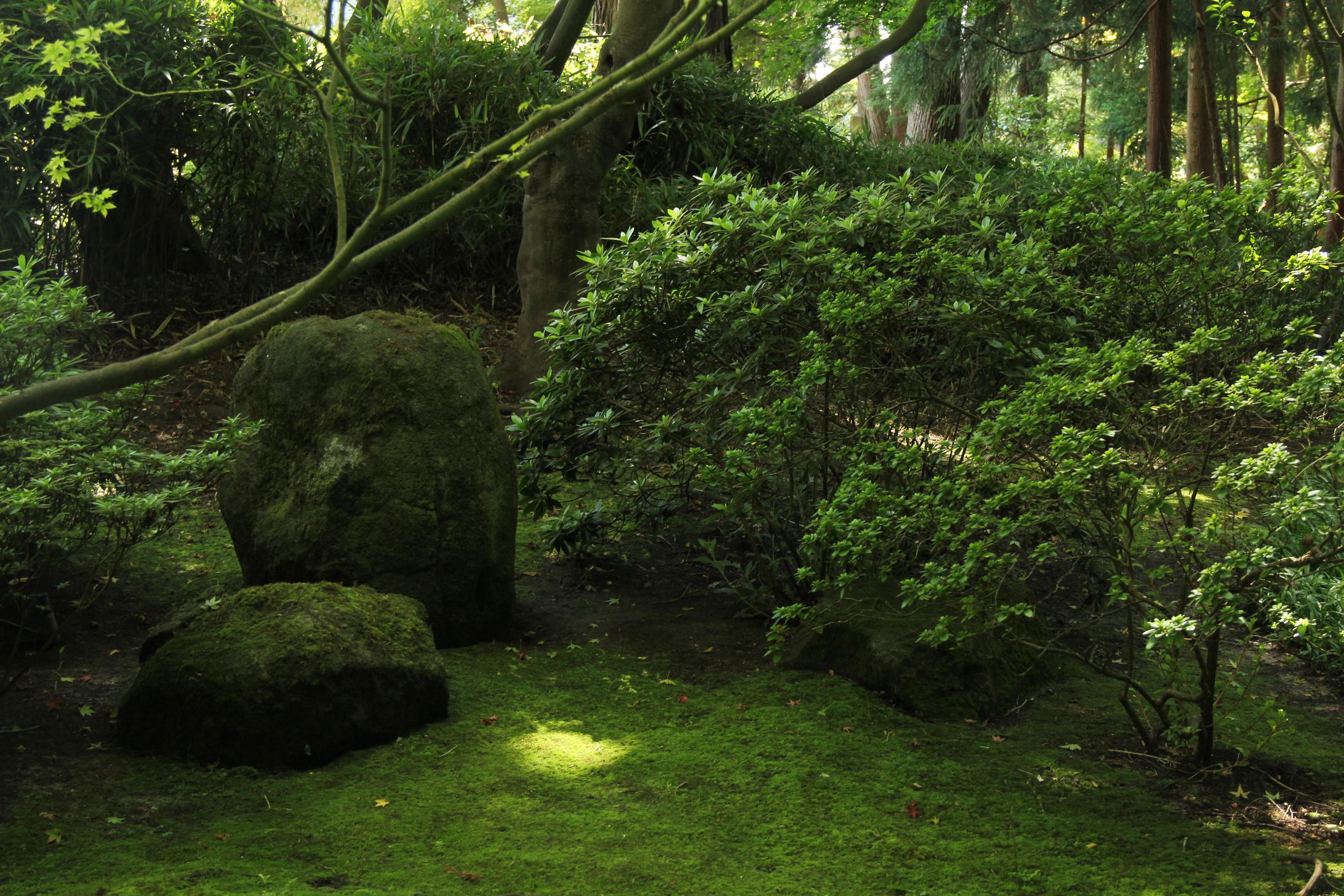 San Francisco Japanese Tea Garden-1