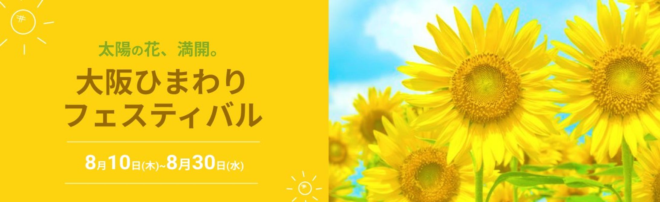 ひまわりフェステバル-1