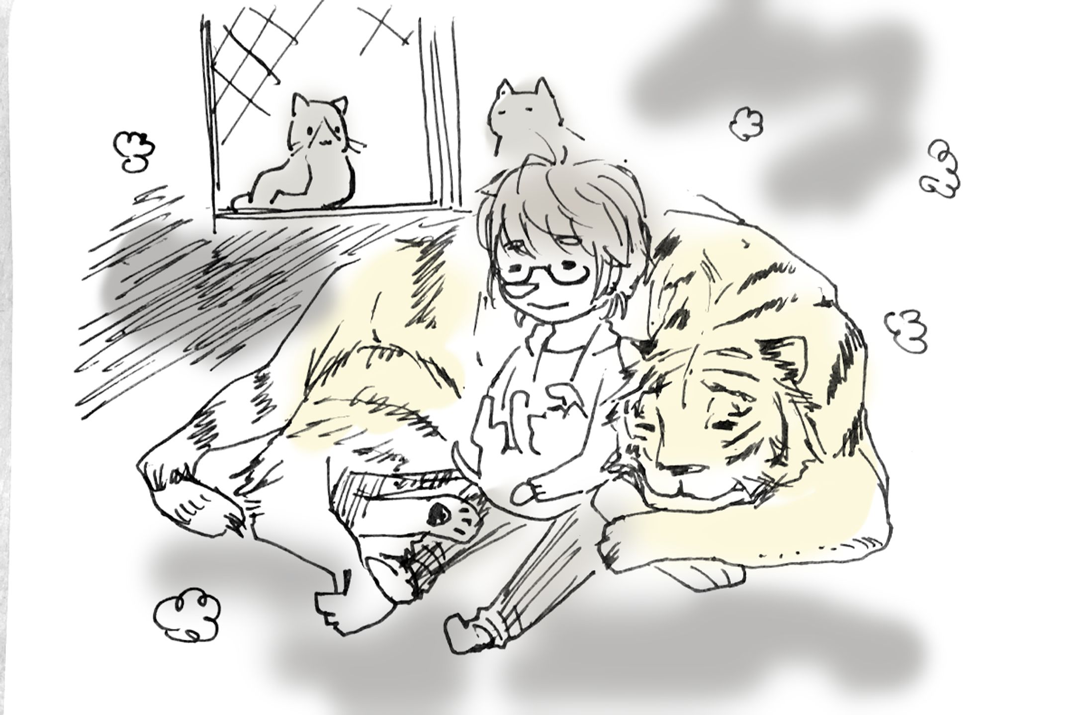 B50477D6 1281 4F6E B451 00250E6E979D-1