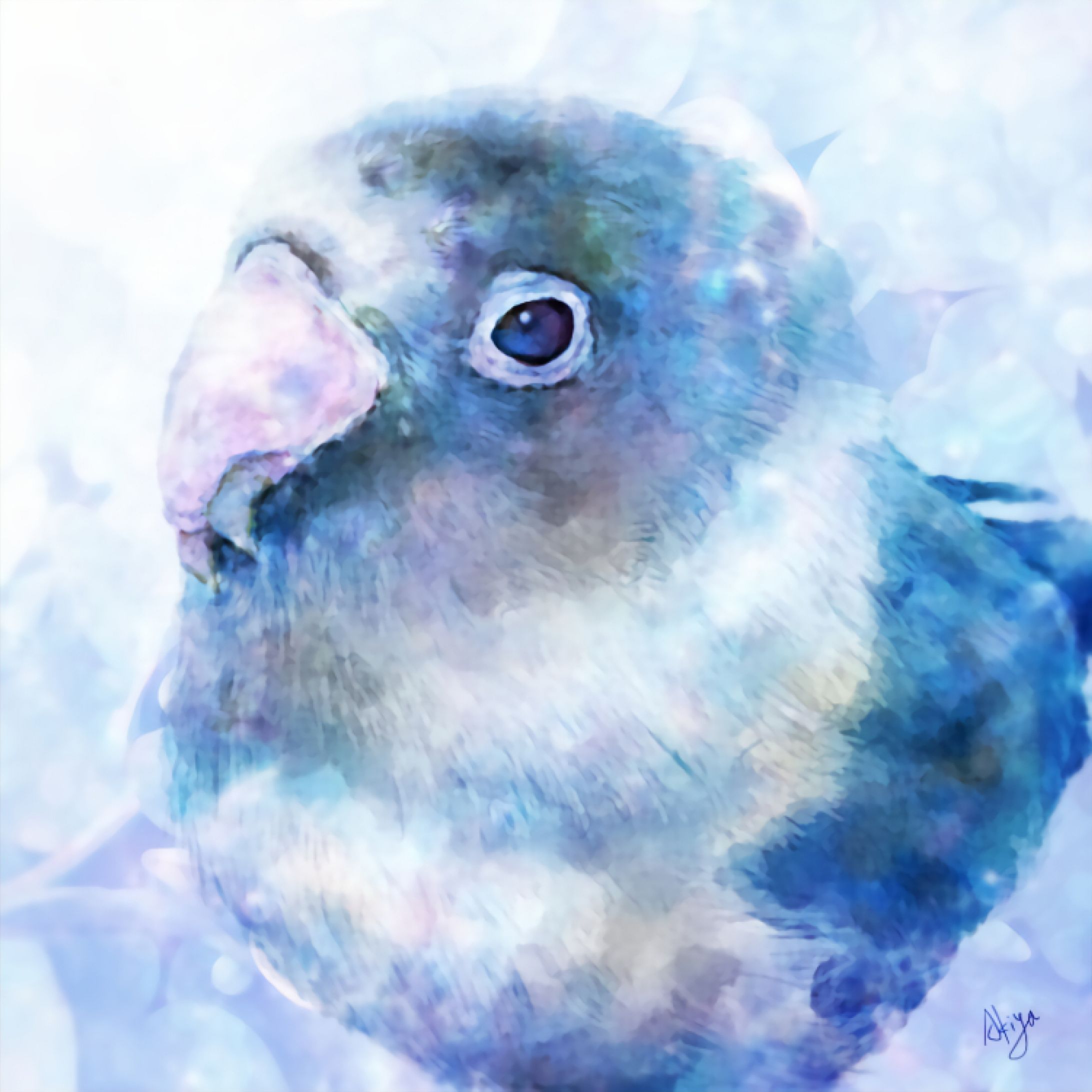 Love Bird-1